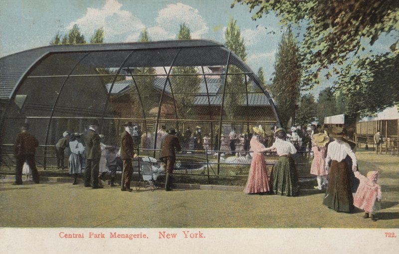 Ménagerie de Central Park, New York (photo) - American Photographer