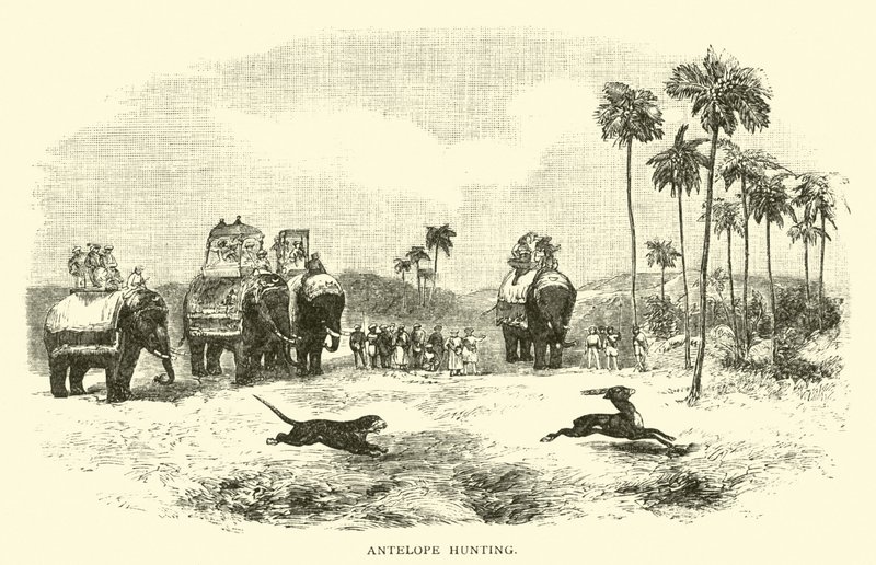 Chasse à l