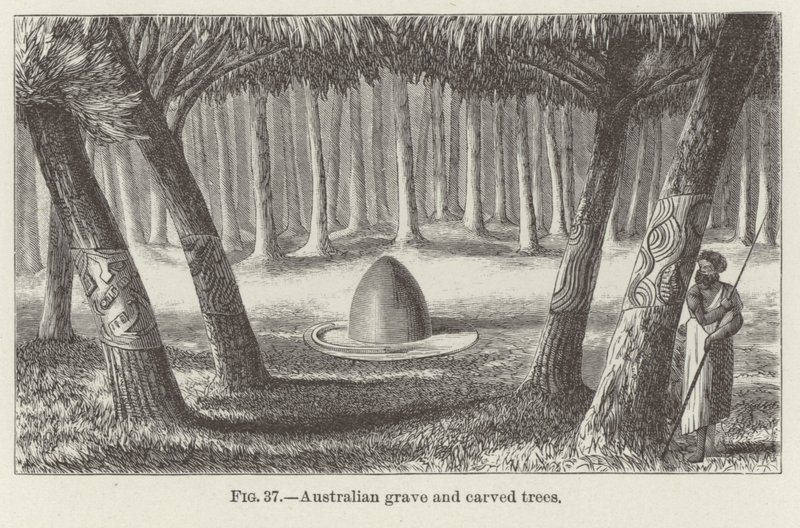 Tombe australienne et arbres sculptés - American School