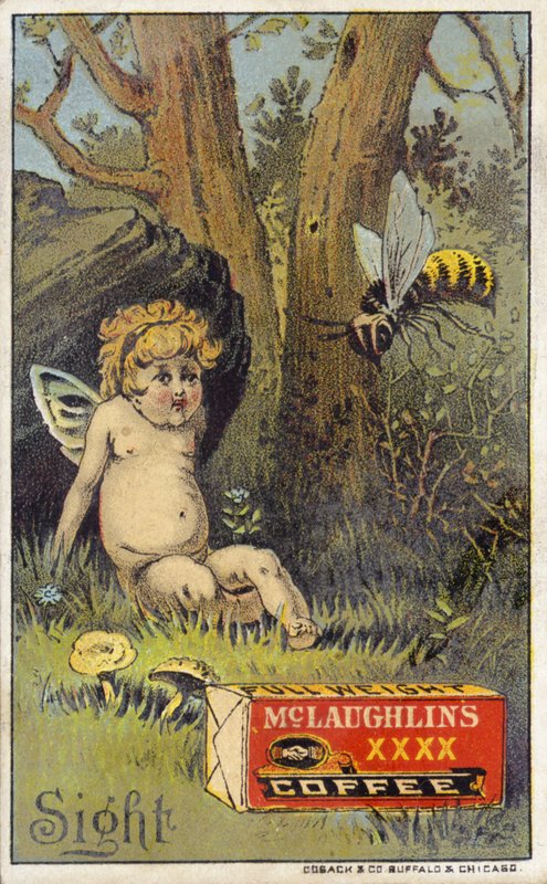 Abeille attaquant un putto - American School