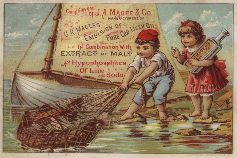 Garçon tirant un filet de pêche - American School
