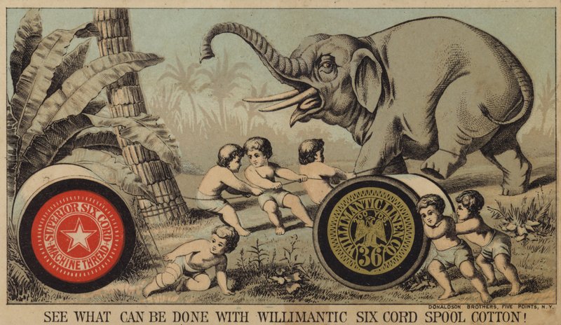 Garçons piégeant un éléphant avec du coton - American School