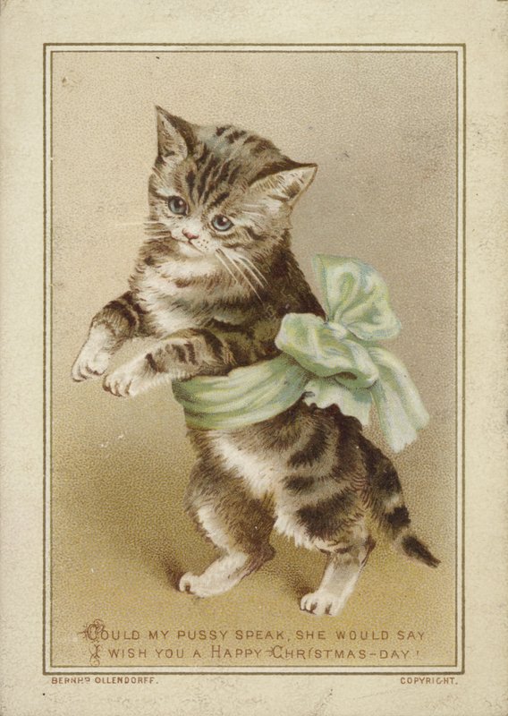 Chat portant un nœud vert - American School