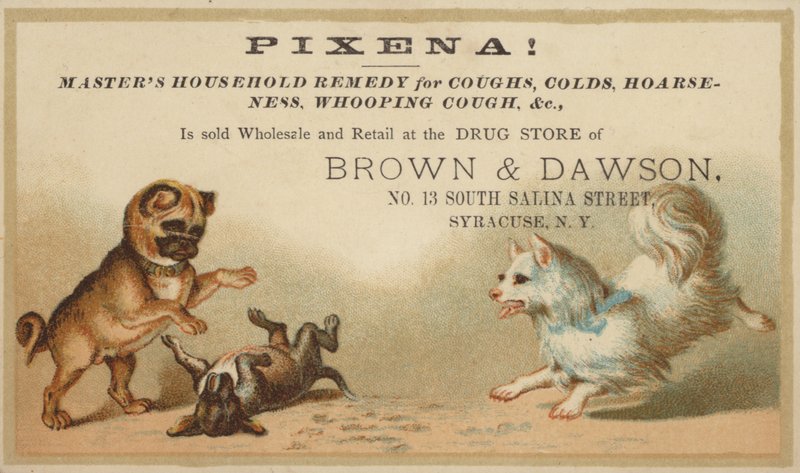 Chiens jouant ensemble - American School