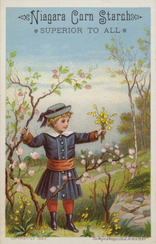 Fille tenant un bouquet de fleurs à la campagne - American School