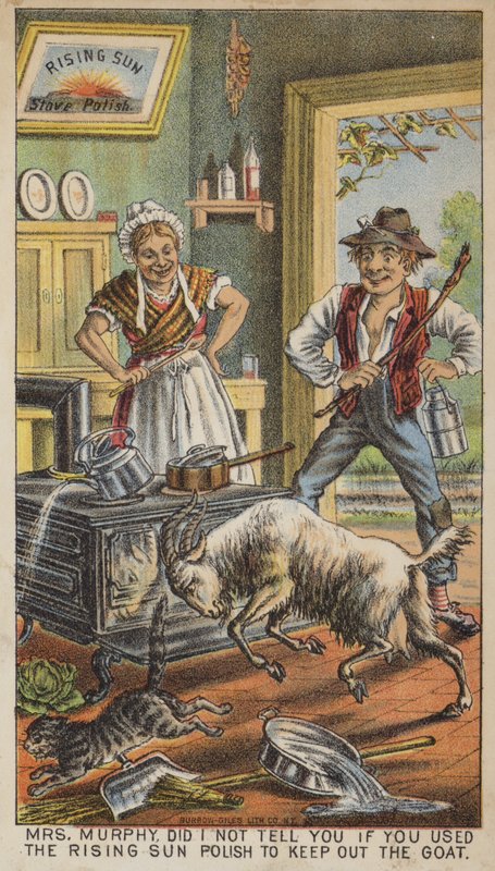 Chèvre poursuivant un chat dans la cuisine - American School