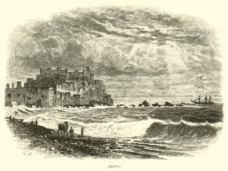 Jaffa - American School