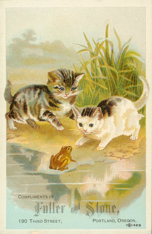Chatons rencontrant une grenouille - American School