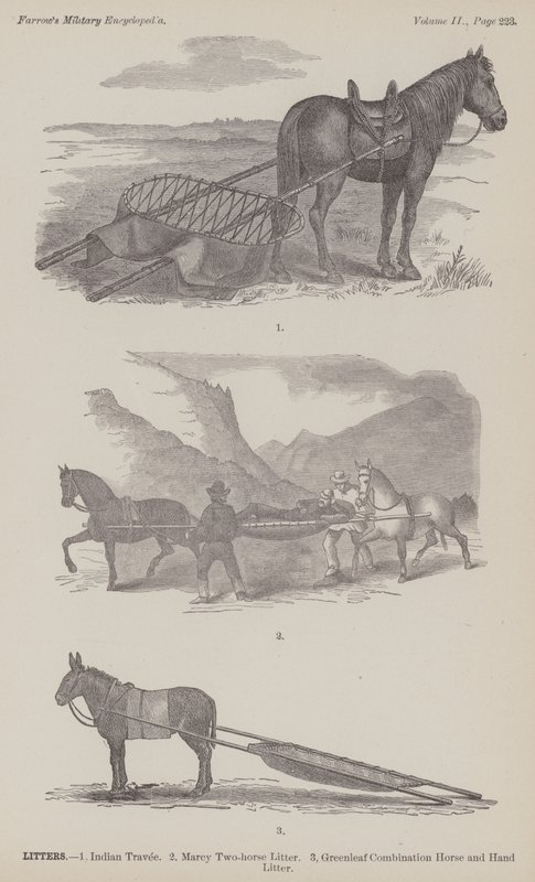 Litières (gravure) - American School