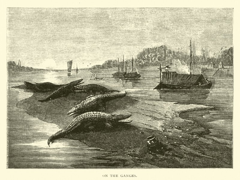 Sur le Gange - American School