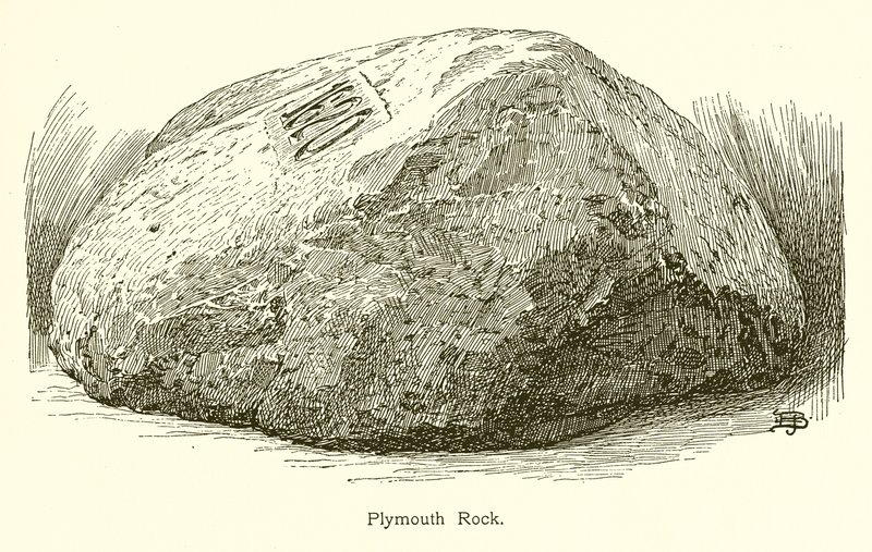 Plymouth Rock - American School