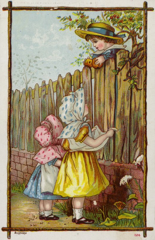 Voler des pommes - American School