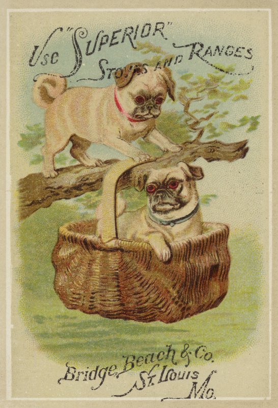 Deux chiens et un panier - American School