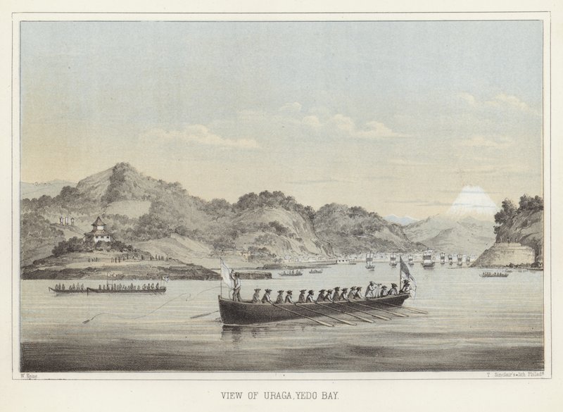 Vue d