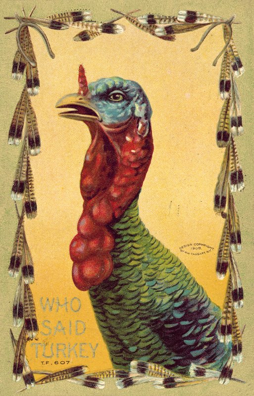 Qui a dit dinde, carte de Thanksgiving - American School