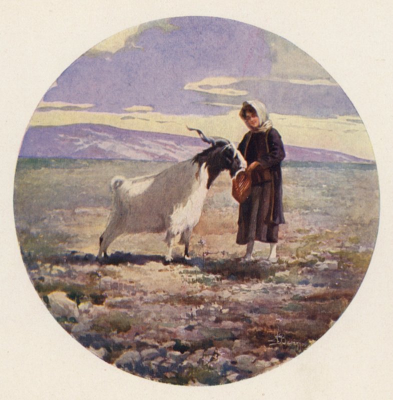 Chevrier, Attique, Grèce - Angelos Giallinos