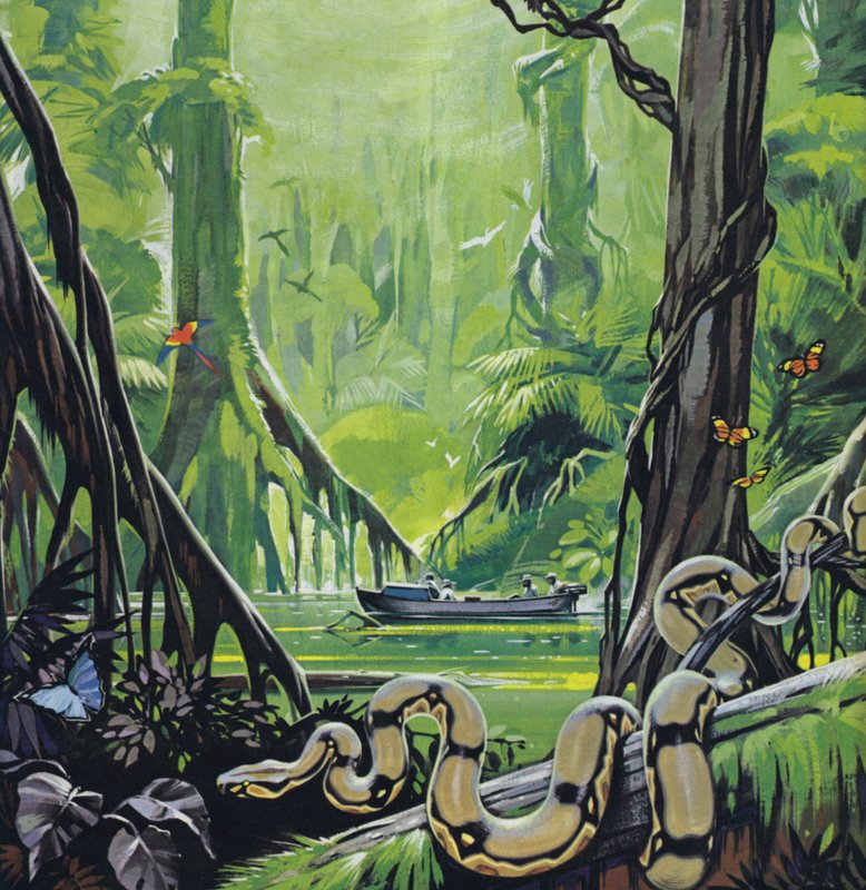 Exploration du fleuve Amazone (lithographie couleur) - Angus McBride