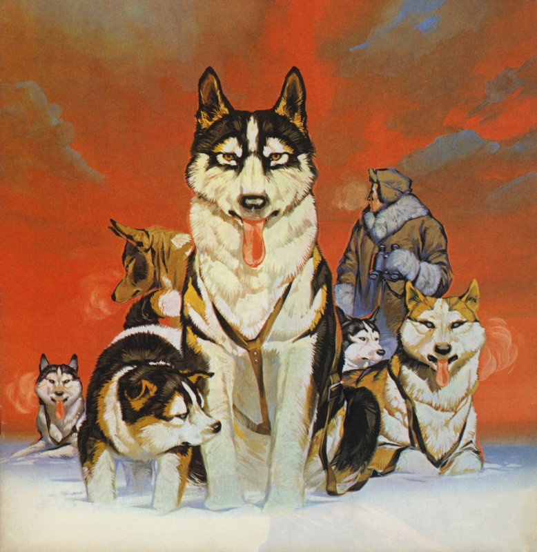 Huskies (lithographie couleur) - Angus McBride