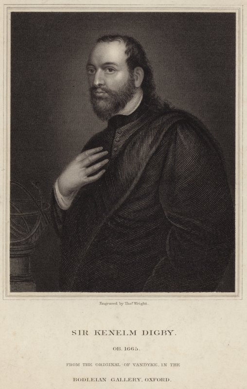Portrait de Sir Kenelm Digby - Anthony van Dyck