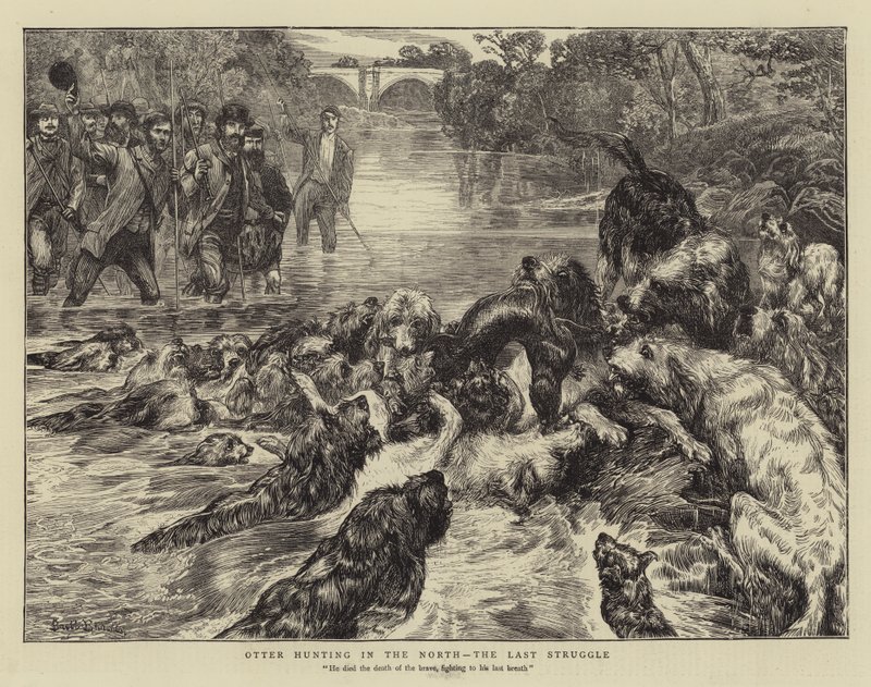Chasse à la loutre dans le Nord, la dernière lutte - Basil Bradley