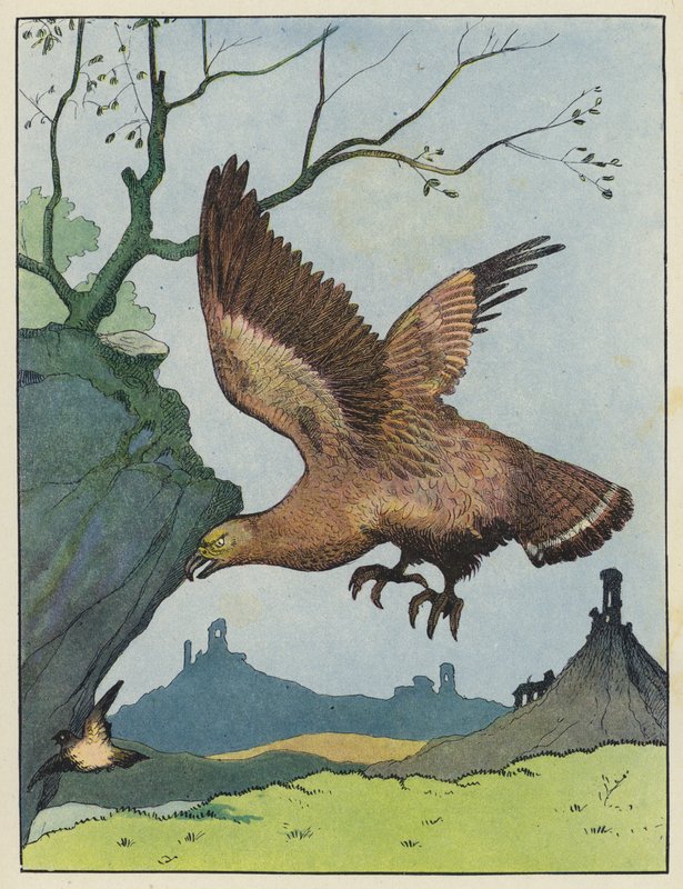 Aigle poursuivant un oiseau - Benjamin Rabier