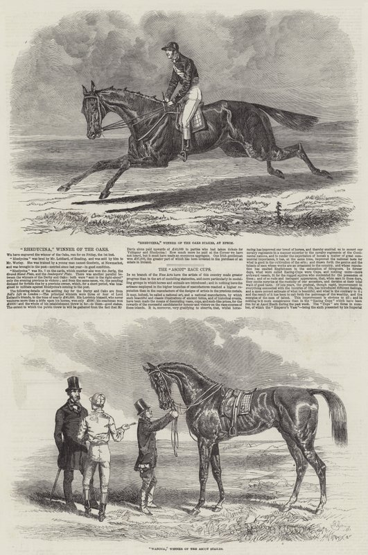 Chevaux de Course Gagnants - Benjamin Herring