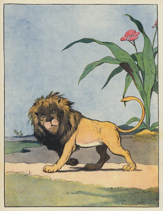 Lion - Benjamin Rabier