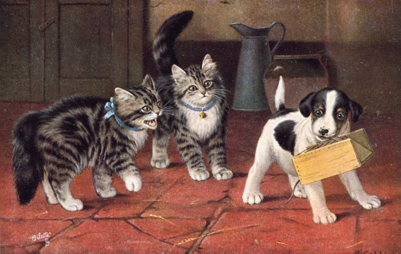 Carte postale de chat - Bernard Cobbe