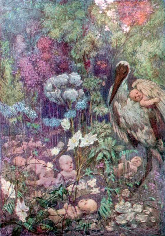 Pays des bébés - C. Dudley (after) Tennant