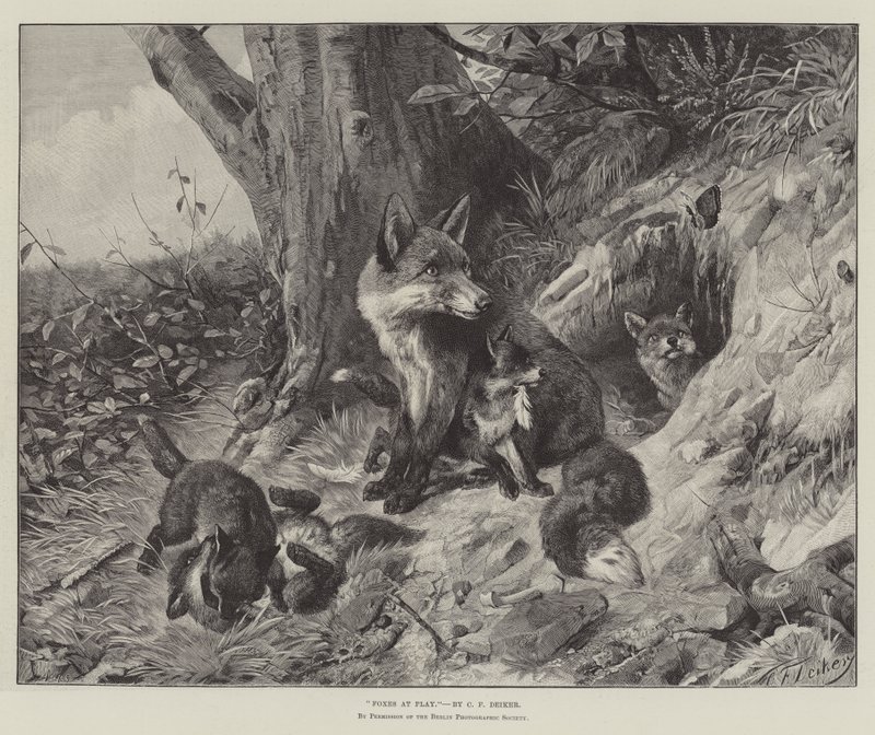 Renards en train de jouer - Carl Friedrich Deiker