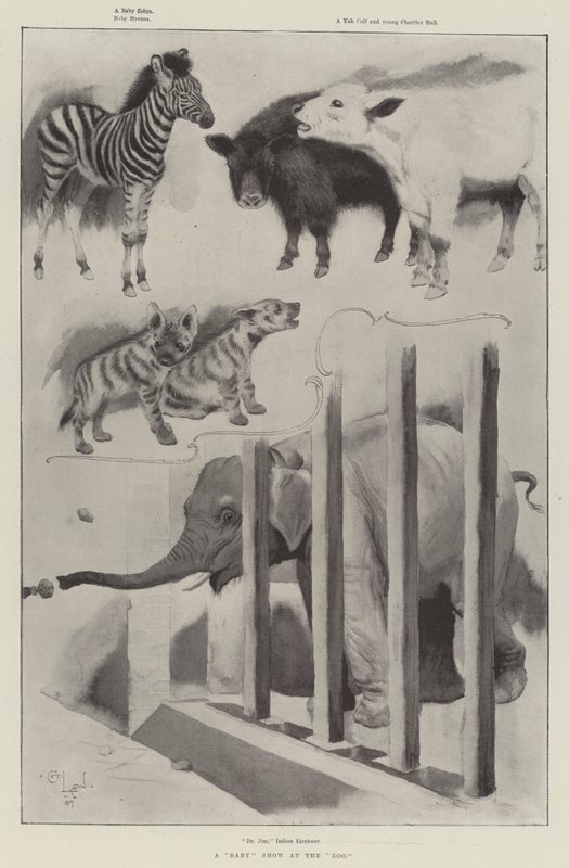 Un spectacle de bébés au zoo - Cecil Charles Windsor Aldin