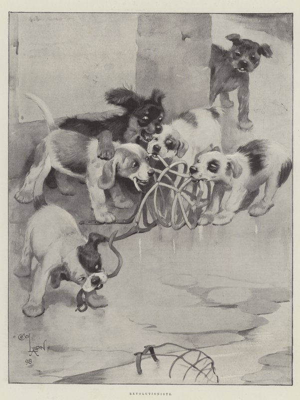 Révolutionnaires - Cecil Charles Windsor Aldin