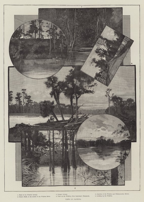 Vues de Floride - Charles Auguste Loye