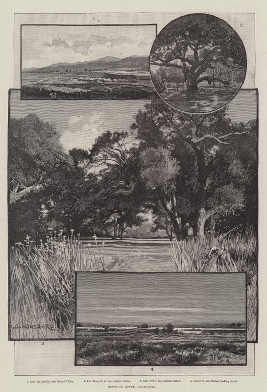 Vues de la Basse-Californie - Charles Auguste Loye