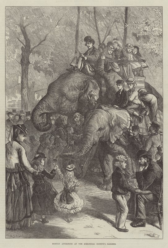 Lundi après-midi aux jardins de la Société zoologique - Charles J. Staniland