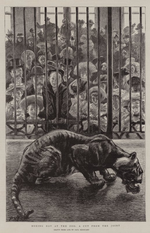 Le lendemain de Noël au zoo, une coupe du joint - Charles Paul Renouard