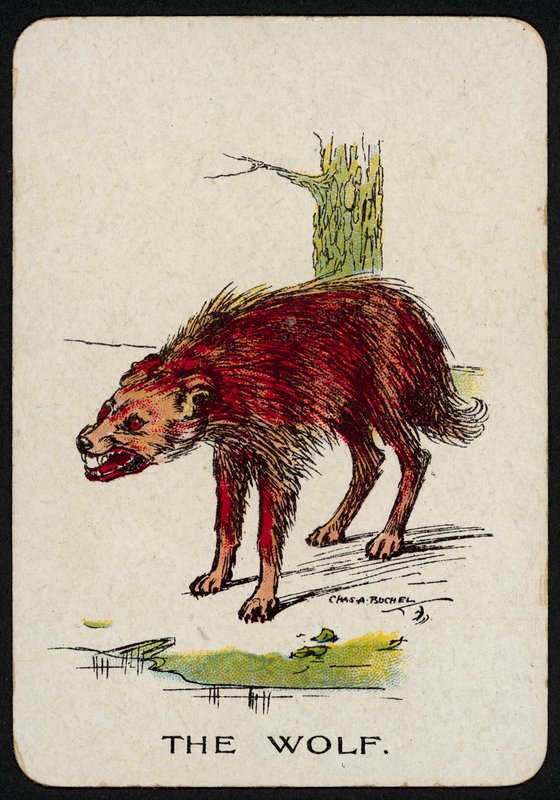 Le Loup - Charles A. Buchel