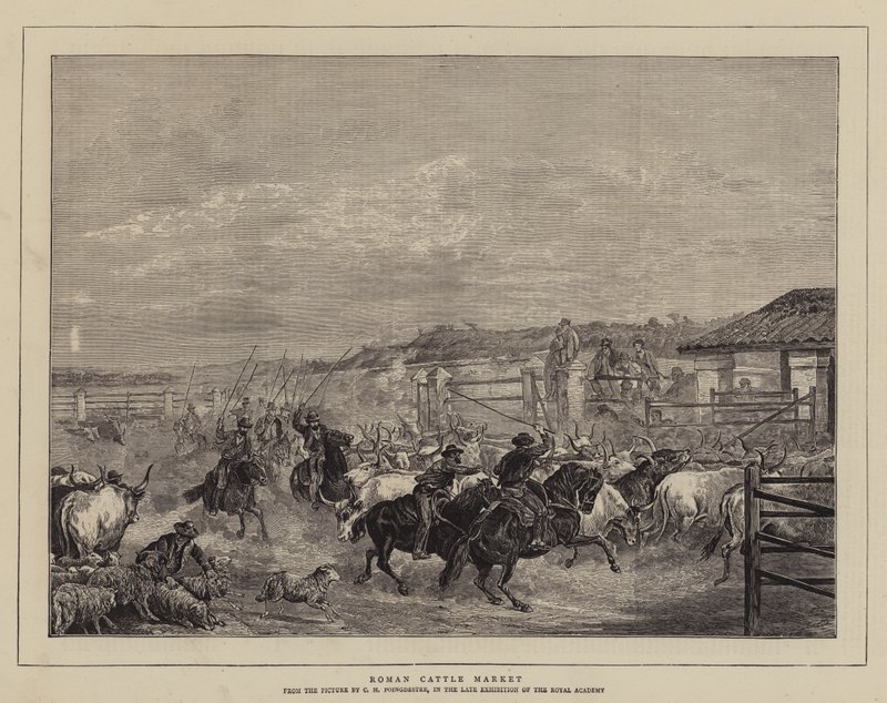Marché aux bestiaux romain - Charles H. Poingdestre