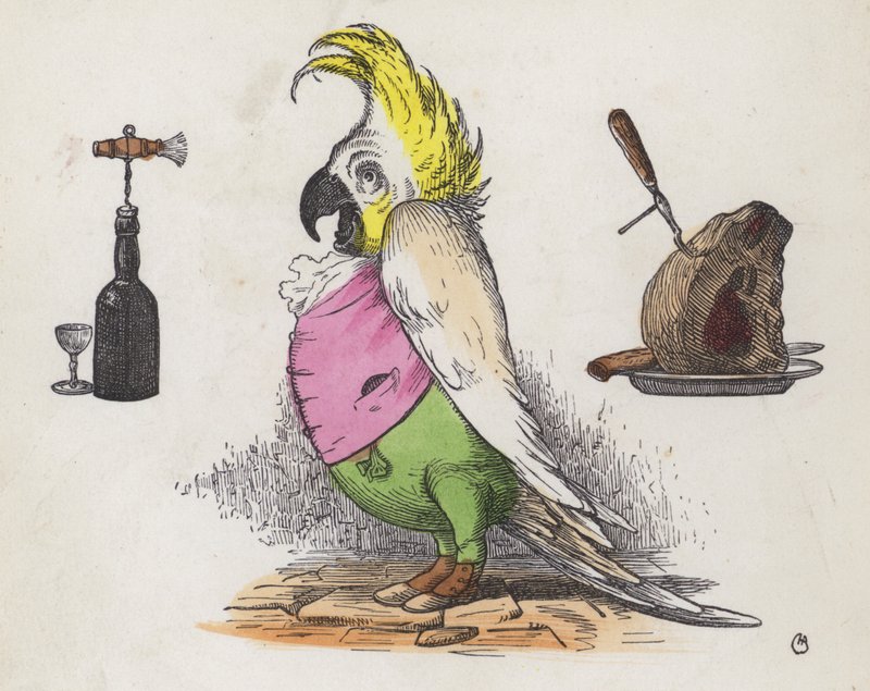 Cacatoès gourmand - Charles Henry (after) Bennett