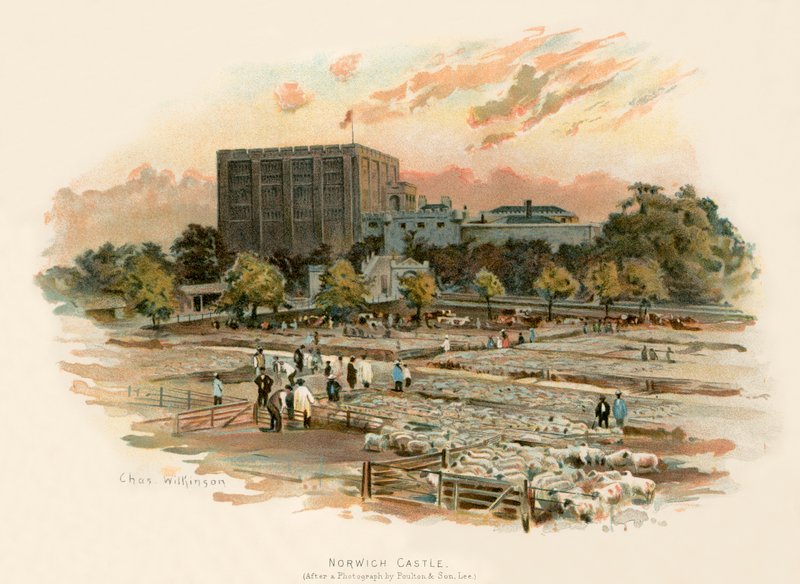 Château de Norwich - Charles Wilkinson