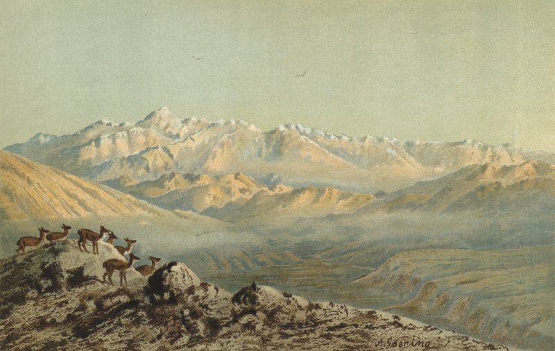 La chaîne de l