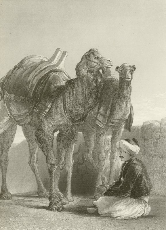 Un groupe de chameaux à Smyrne - David Wilkie