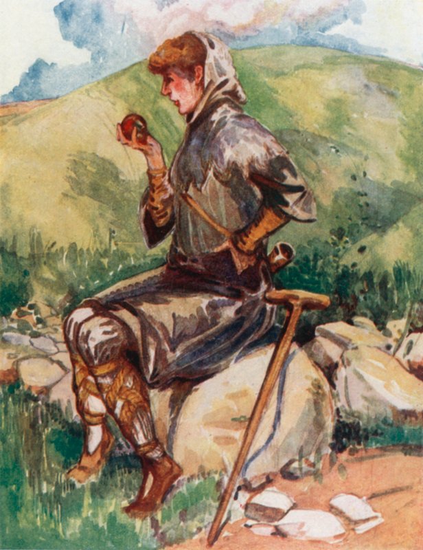 Un paysan de l