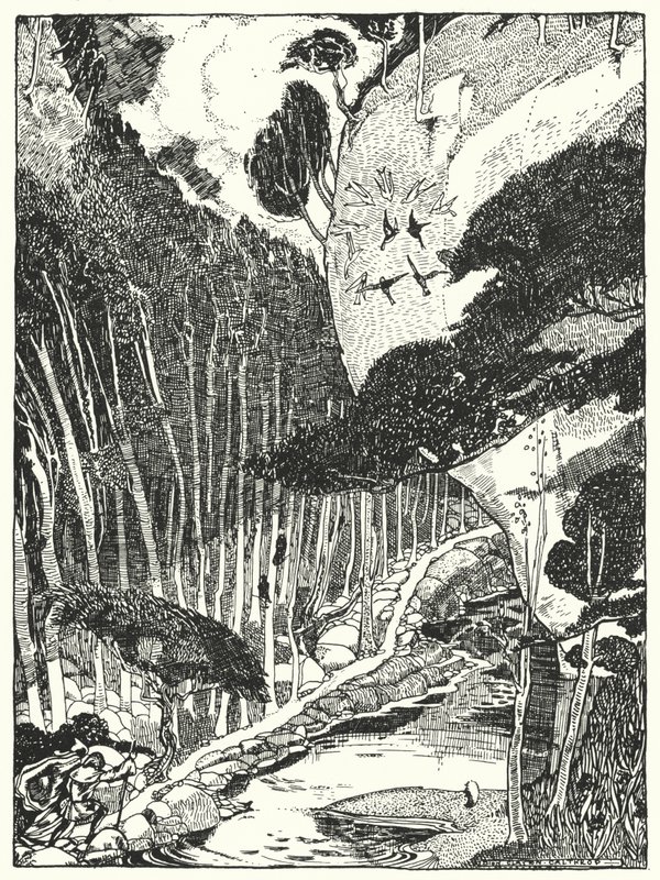 La Forêt sombre - Dion Clayton Calthrop