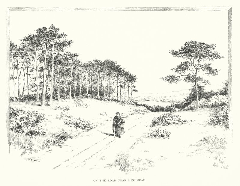 Sur la route près de Hindhead - Duncan Moul