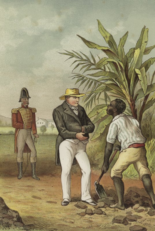 Napoléon à Sainte-Hélène - Dutch School