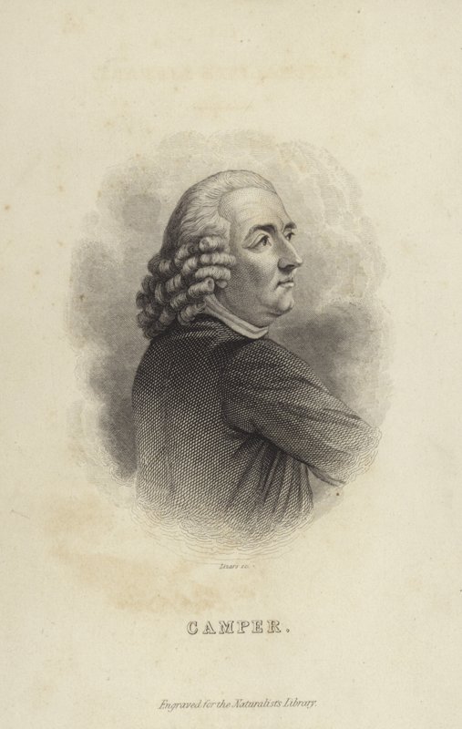 Petrus Camper - Dutch School