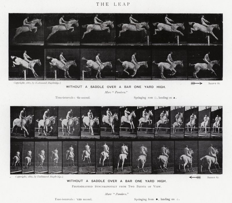 Eadweard Muybridge : Le Saut - Eadweard Muybridge