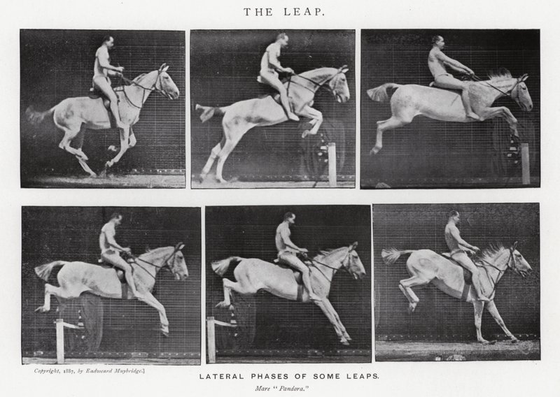 Le Saut - Eadweard Muybridge