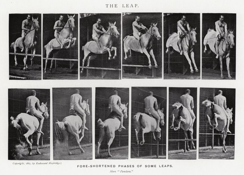 Eadweard Muybridge : Le Saut (photo n/b) - Eadweard Muybridge